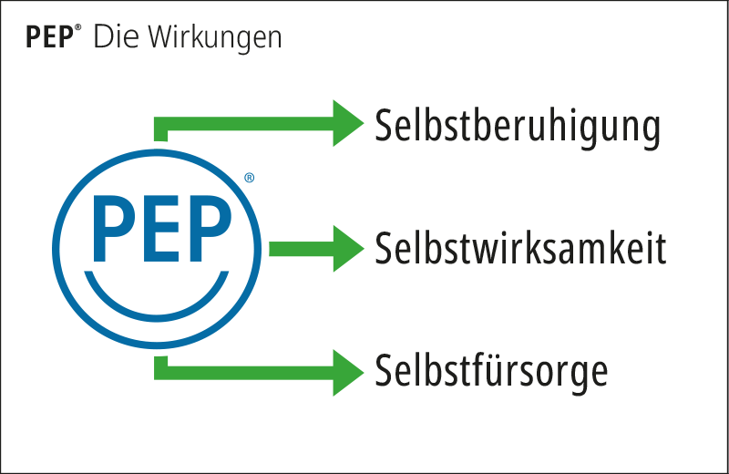 PEP-FUERS-WEB-06 PEP-FUERS-WEB-06