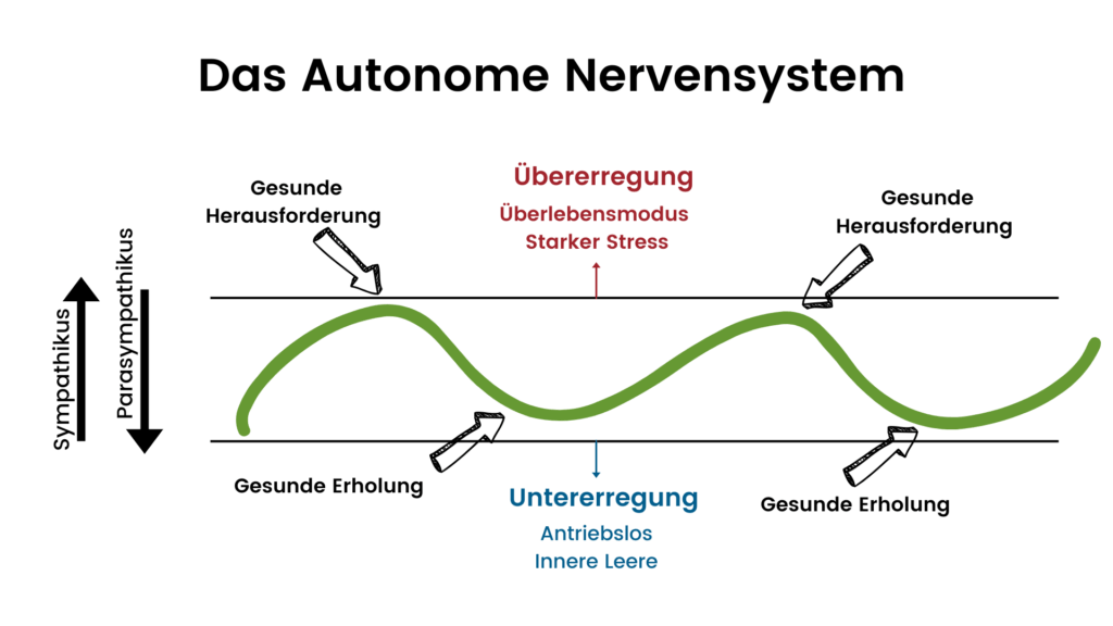 Stresstoleranz-Fenster für Webseite